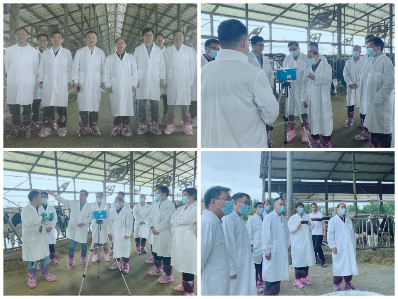 花花牛丨河南農(nóng)業(yè)大學(xué)黨委副書(shū)記、校長(zhǎng)介曉磊一行蒞臨花花牛河南瑞亞參觀(guān)調(diào)研