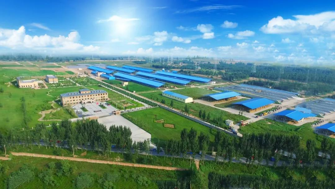 花花牛丨河南農(nóng)業(yè)大學(xué)黨委副書(shū)記、校長(zhǎng)介曉磊一行蒞臨花花牛河南瑞亞參觀(guān)調(diào)研