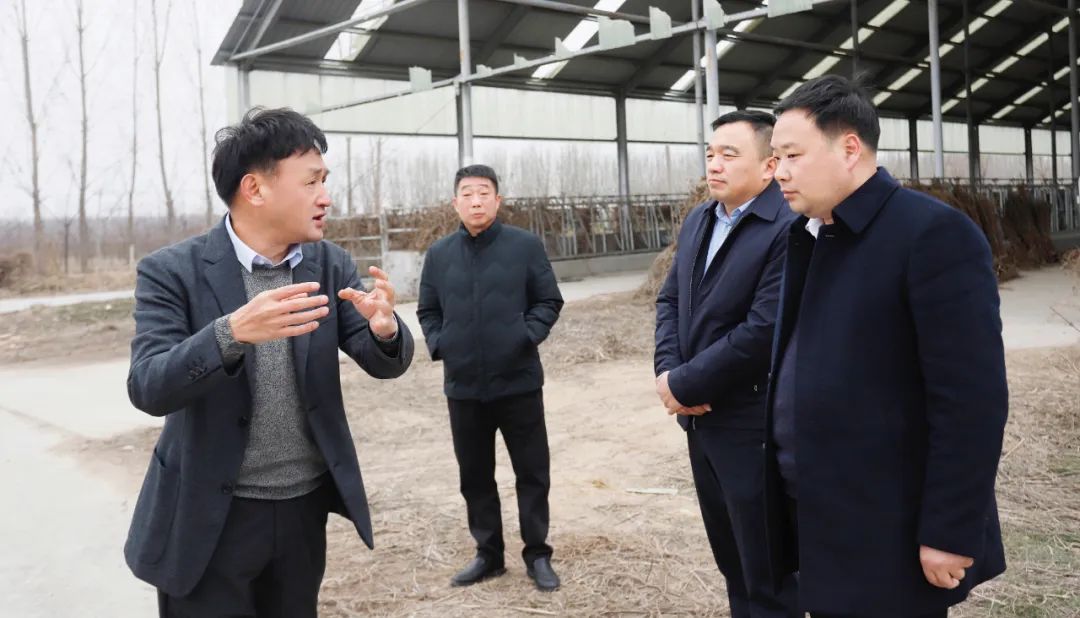 發(fā)揮產(chǎn)業(yè)優(yōu)勢 助力鄉(xiāng)村振興 | 民權(quán)縣委副書記、縣長王靜嫻會見關(guān)曉彥董事長一行