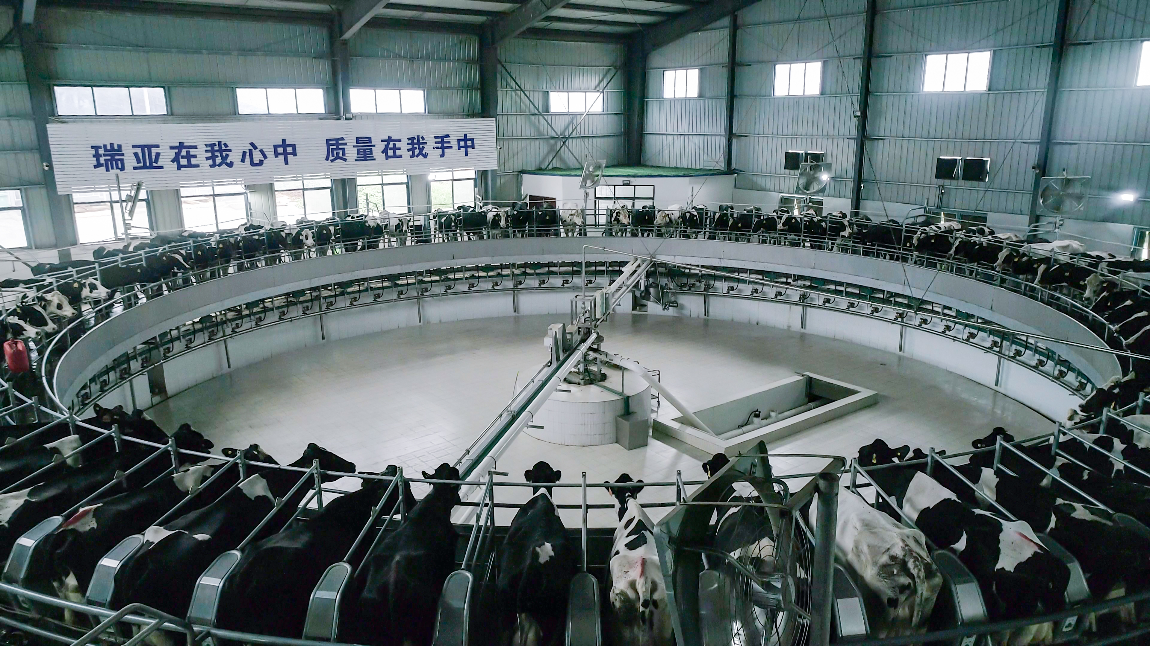 河南省人大常委會黨組書記、副主任孔昌生蒞臨花花牛魯山瑞亞牧場參觀調(diào)研