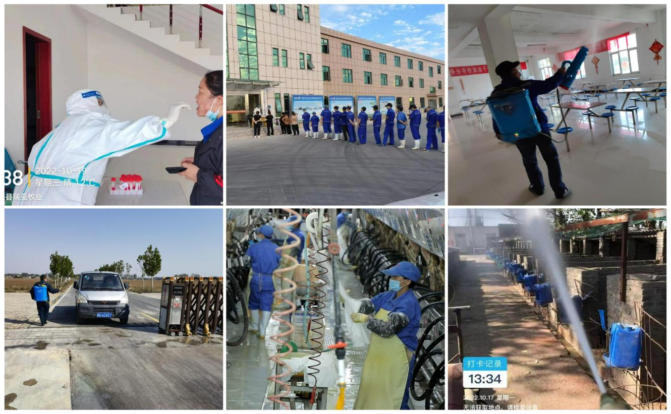 抗疫情、保供應(yīng)、顯擔(dān)當(dāng)——花花牛在行動(dòng)！?。? style=