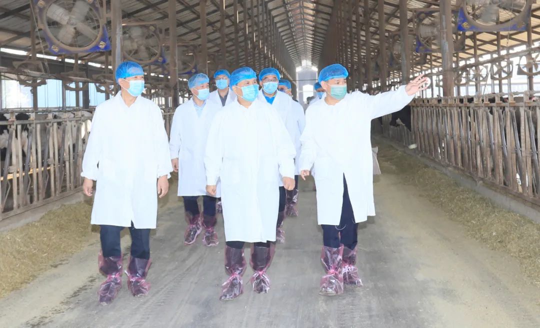快訊丨河南省人民政府副省長武國定蒞臨花花牛乳業(yè)集團(tuán)瑞亞牧業(yè)調(diào)研奶源基地建設(shè)情況 快訊丨河南省人民政府副省長武國定蒞臨花花牛乳業(yè)集團(tuán)瑞亞牧業(yè)調(diào)研奶源基地建設(shè)情況