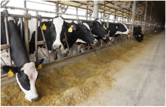 1735111878648747.png image.png