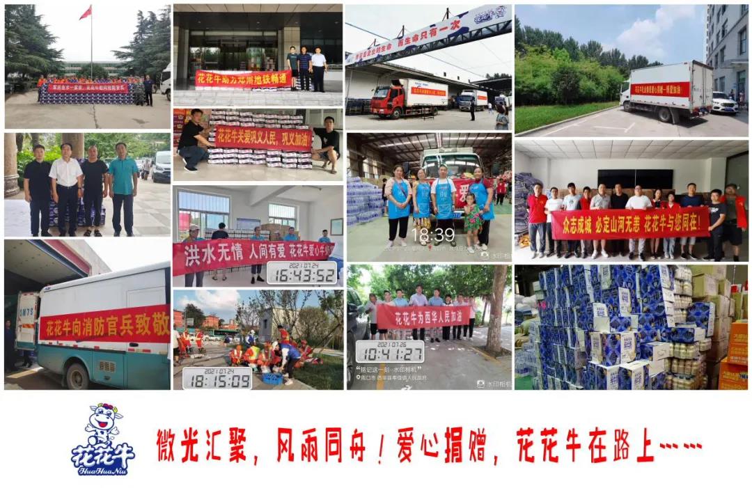 【乳報·聚焦】“豫”難而上的中原牛人“太中了”！