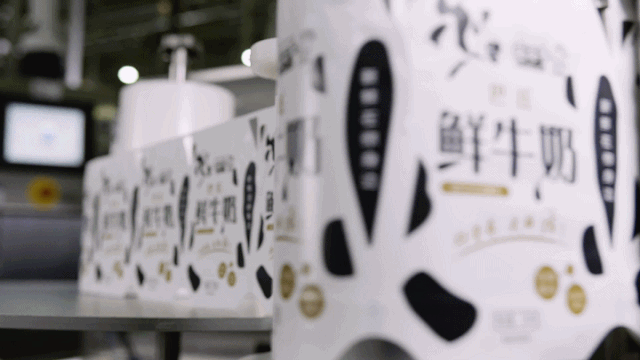 快訊 | 花花牛乳業(yè)集團(tuán)成為河南省食品工業(yè)協(xié)會食品質(zhì)量安全分會副會長單位 快訊 | 花花牛乳業(yè)集團(tuán)成為河南省食品工業(yè)協(xié)會食品質(zhì)量安全分會副會長單位