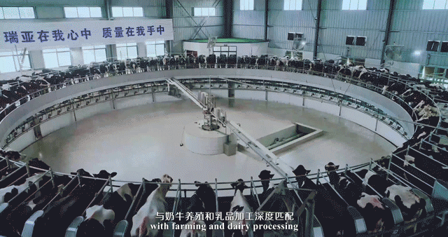 榮譽(yù) | 2019年度河南省美麗牧場名單新鮮出爐 花花牛乳業(yè)集團(tuán)旗下六個牧場榜上有名 榮譽(yù) | 2019年度河南省美麗牧場名單新鮮出爐 花花牛乳業(yè)集團(tuán)旗下六個牧場榜上有名