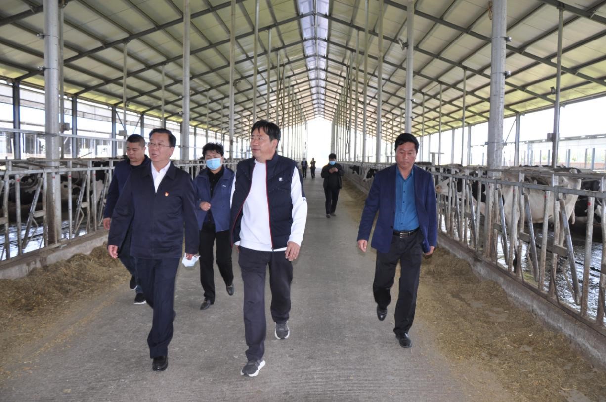 商丘市委常委、宣傳部部長(zhǎng)王全周一行蒞臨睢縣瑞亞牧業(yè)有限公司調(diào)研