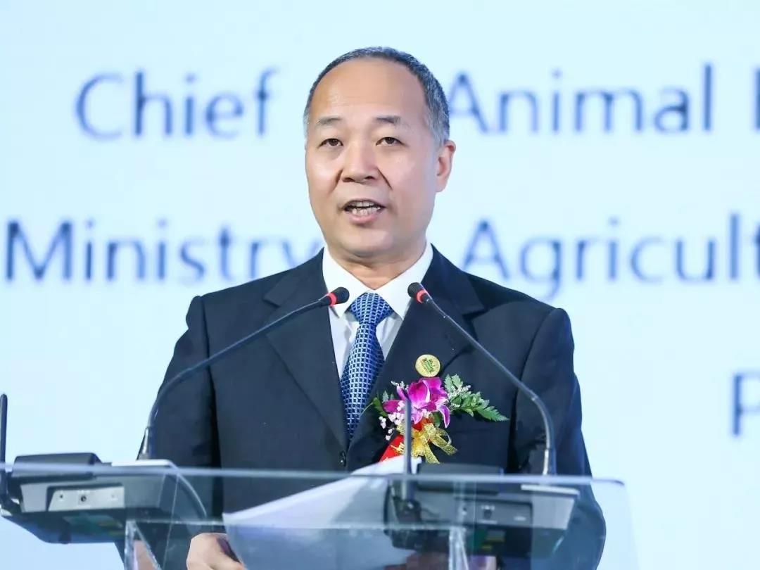 SDDDC走進(jìn)河南，看看花花牛的國(guó)際范兒！