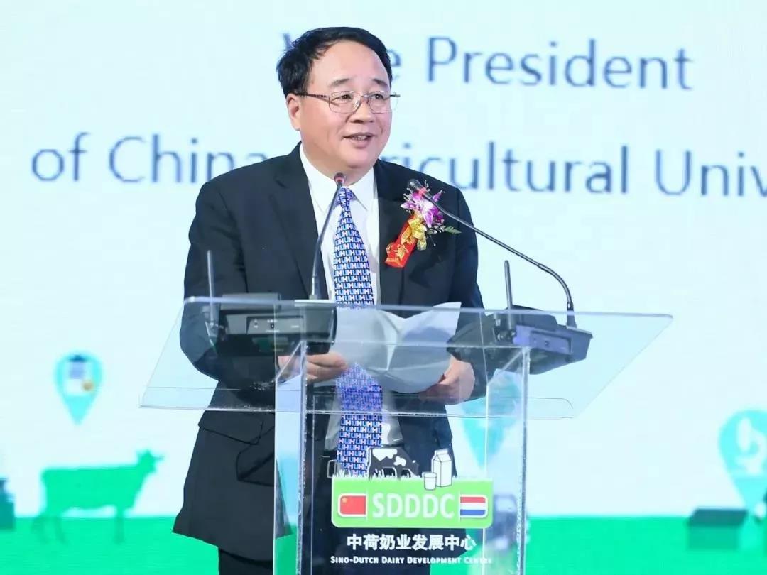 SDDDC走進(jìn)河南，看看花花牛的國(guó)際范兒！