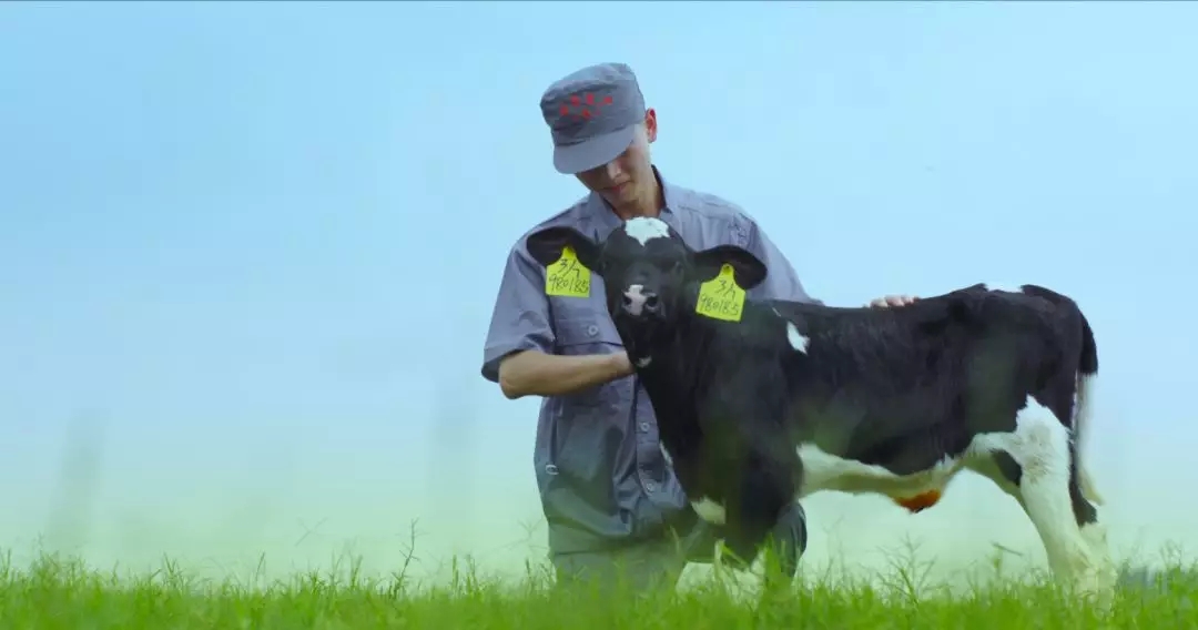 喜報(bào) | 國(guó)家市場(chǎng)監(jiān)管總局抽檢，花花牛等112家企業(yè)乳品抽檢全部合格