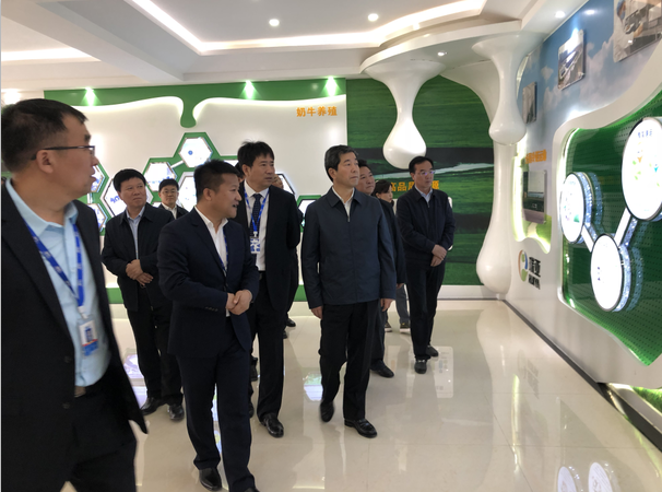 河南省委副書記、省長陳潤兒一行蒞臨 花花牛集團魯山瑞亞牧業(yè)有限公司視察調(diào)研