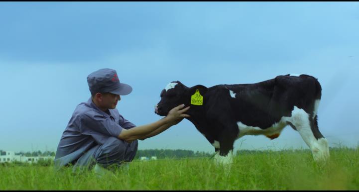 又雙叒叕獲獎(jiǎng)啦！花花牛榮獲“乳品質(zhì)量安全管理 優(yōu)秀企業(yè)”
