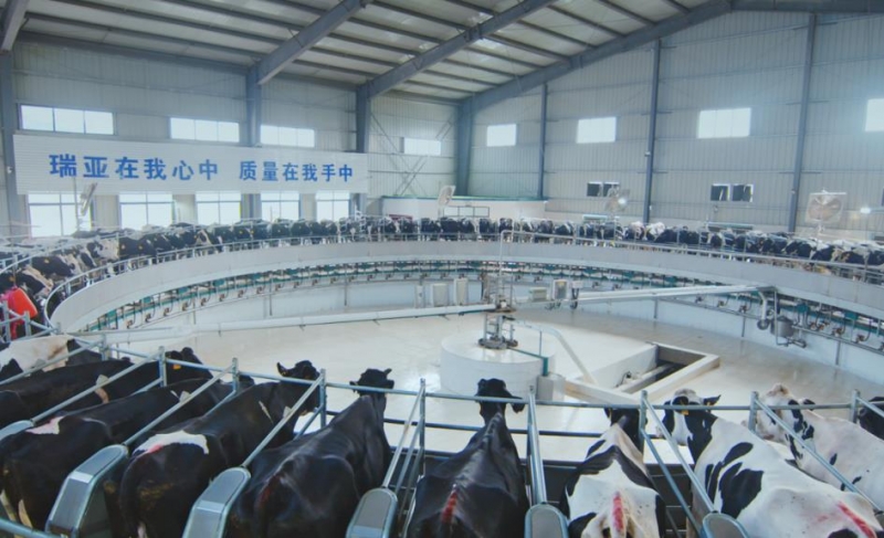 扶溝瑞亞牧業(yè)有限公司年存欄6000頭奶牛養(yǎng)殖建設項目 環(huán)境影響評價公眾參與第二次公示